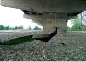 FB IMG 1775826825359